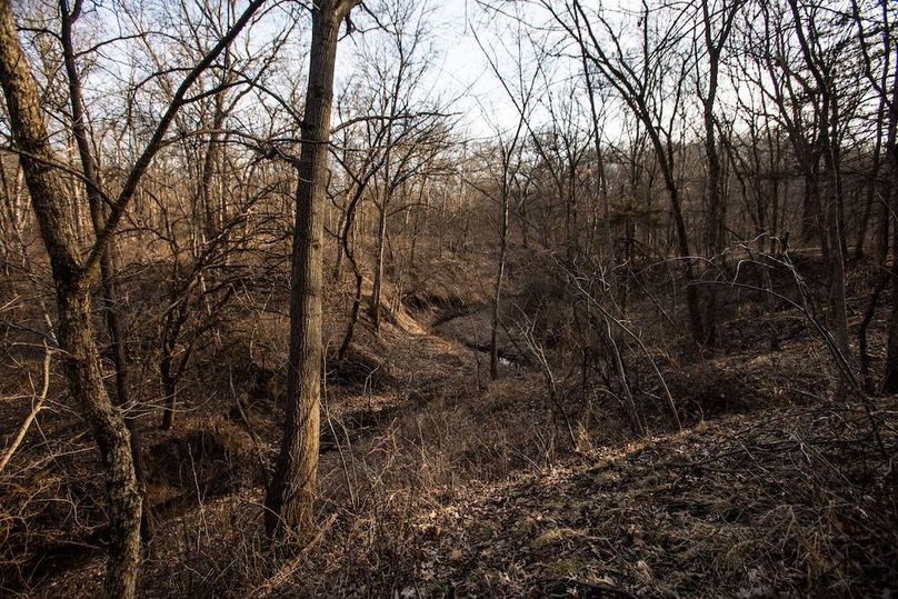 PAGE CO IA 130+_-_36