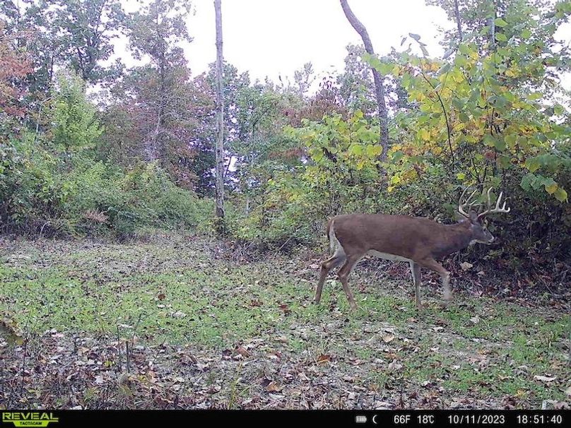 Carter Gordon 70 +_- 015