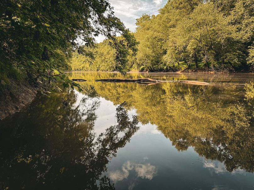 Wirt, WV 137.45 AC Full-61