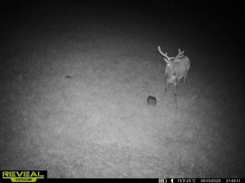 865509052769050-40-3-06192025214033-W1001328