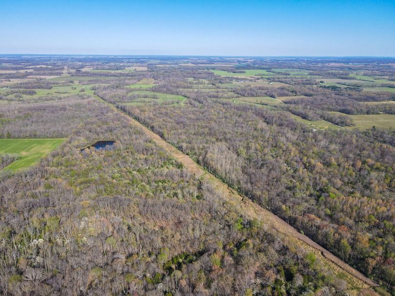 vandalia 450 (2)-2513