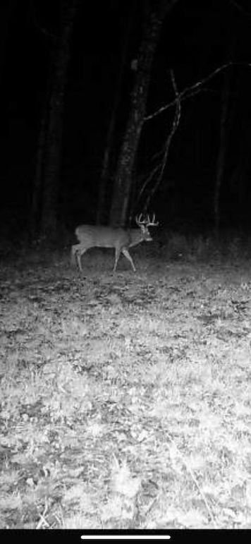 Monroe 120 Trailcam - 13 of 14