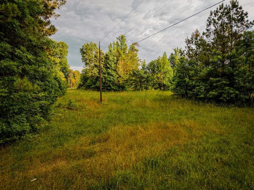 Chickasaw Tract 2-07