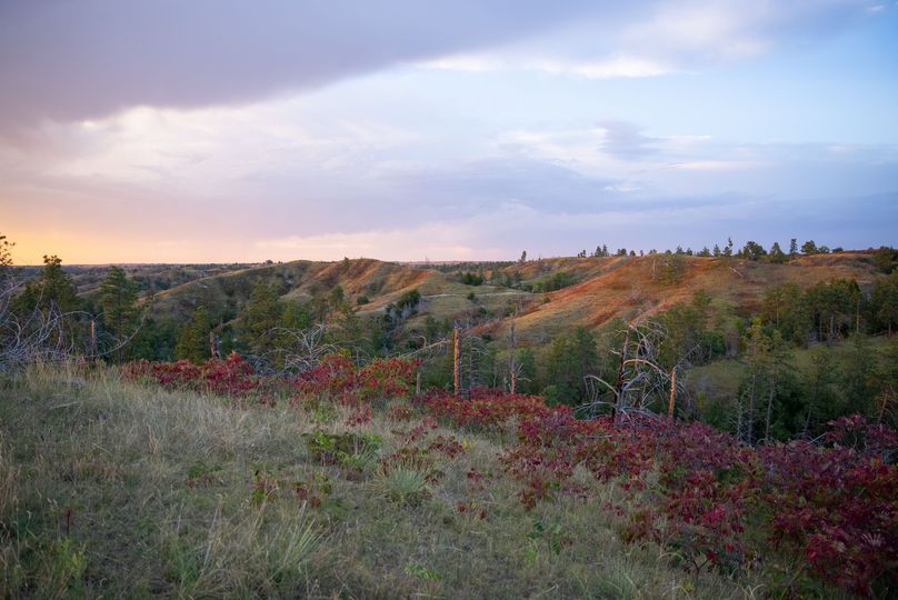 Keya Paha NE 2700_Pro Photo-121