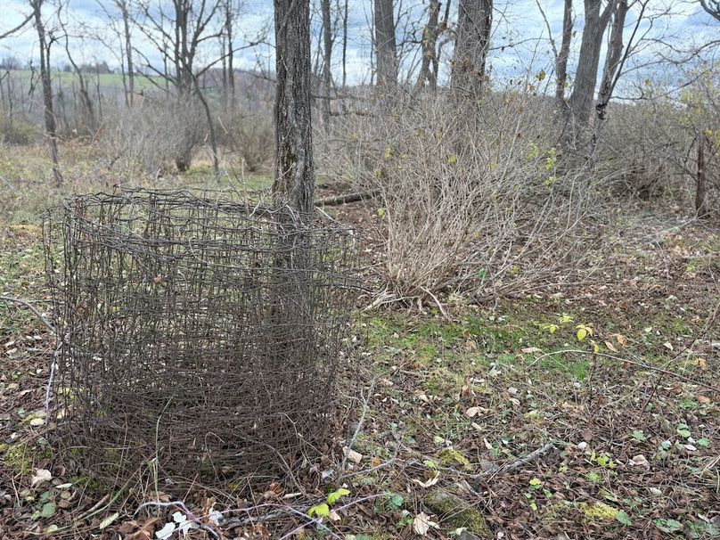 Tompkins_5.12_Galarza Photo 15