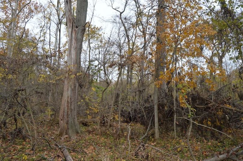 edge along east side of river