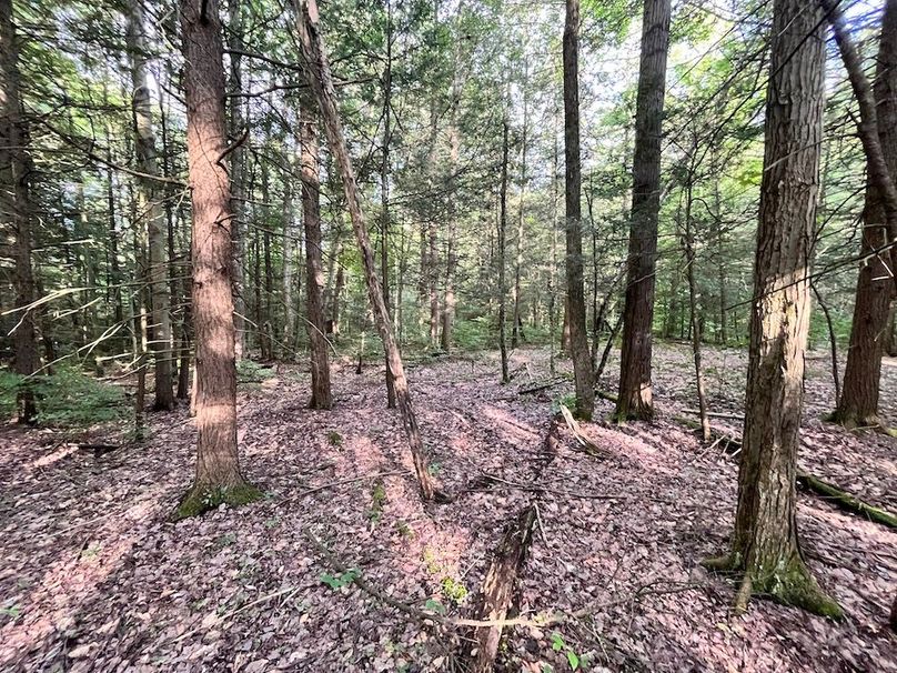 Chemung_78.26+Gutchess_Lumber_Photos_16