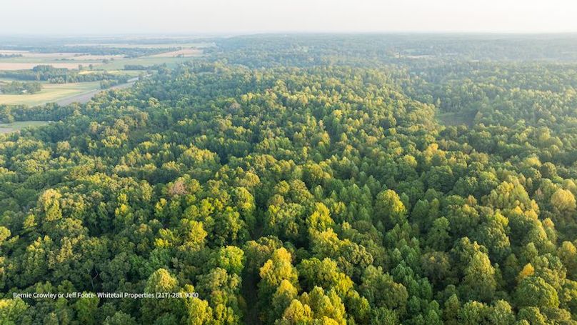 Tallahatchie 847 Messina-81