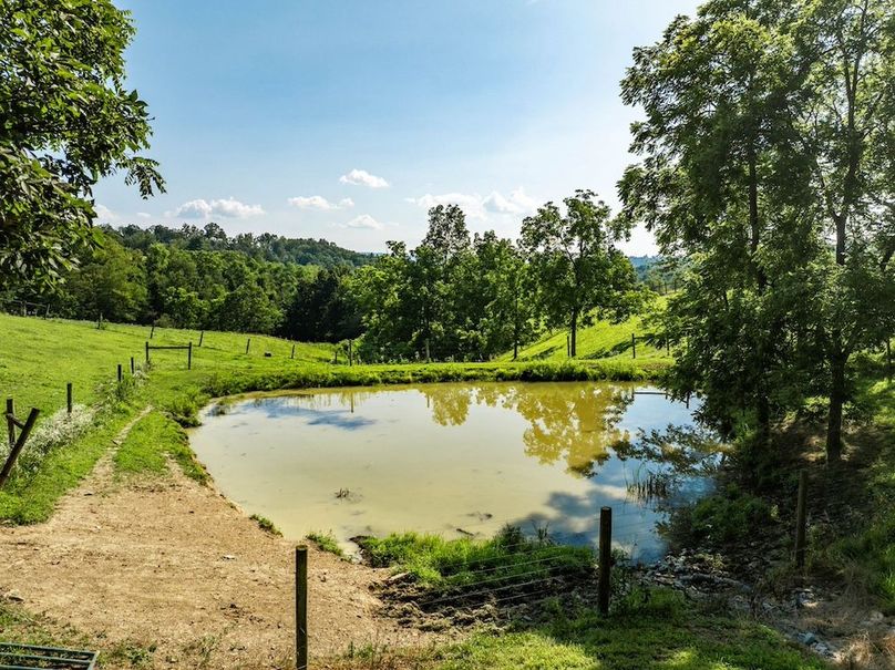 17-web-or-mls-IMG-15