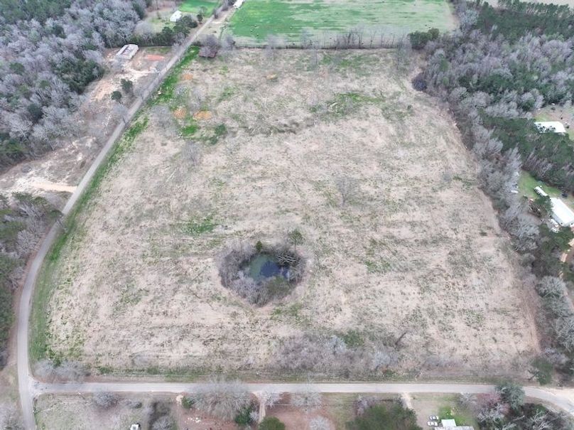 dji_fly_20260217_143402_0147_1771436906521_photo