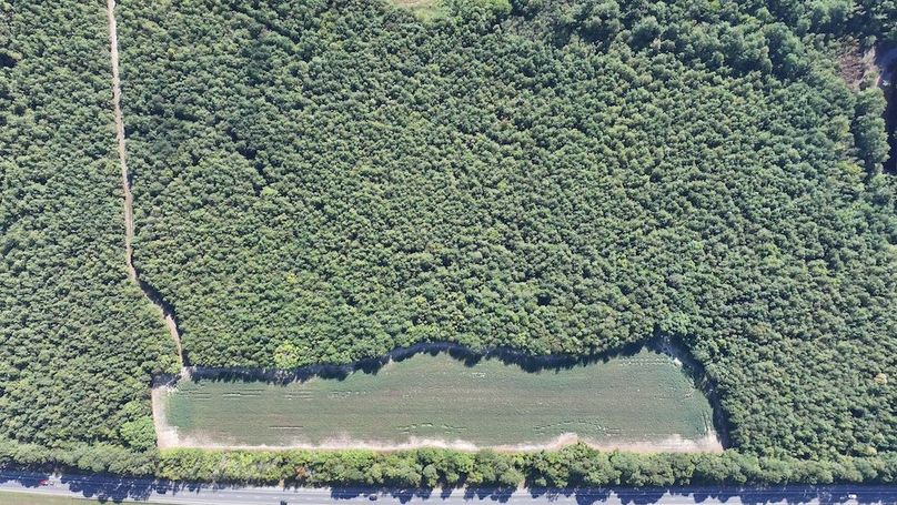 DJI_20250911024223_0320_D