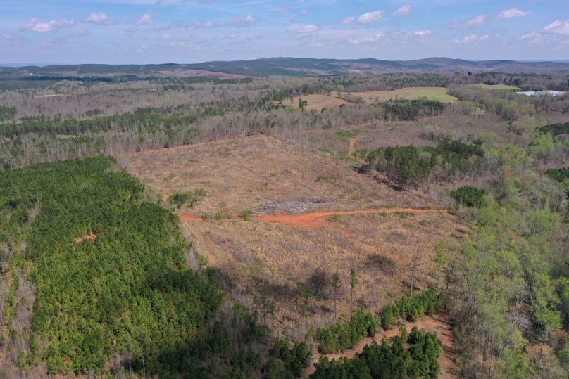 Copy of 400ftCardinal-4