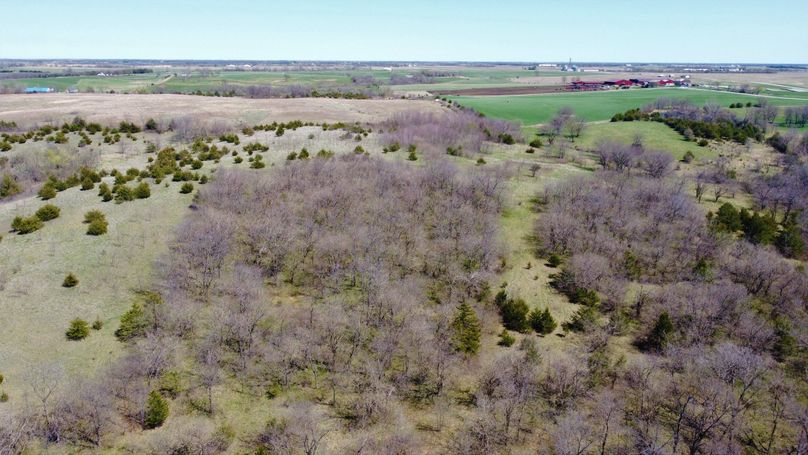 DJI_0616
