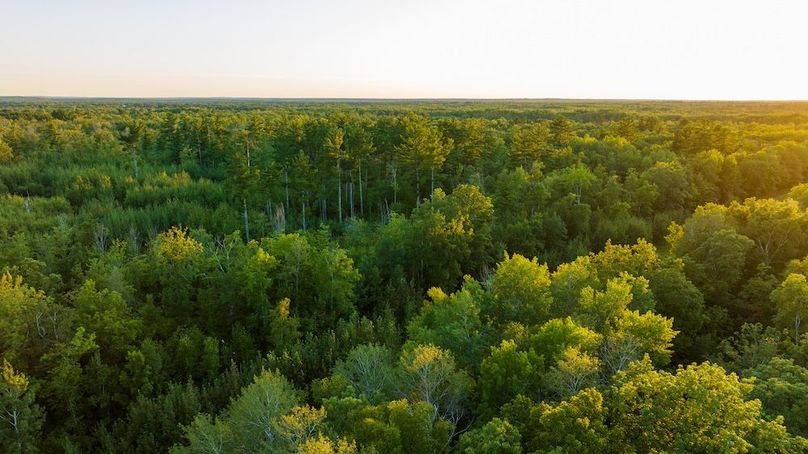 Cass MN 1095 Featured ProPhoto-112