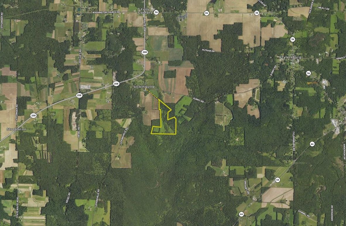 Screen Shot 2023-08-06 at 10.54.46 AM