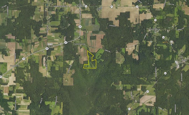 Screen Shot 2023-08-06 at 10.54.46 AM