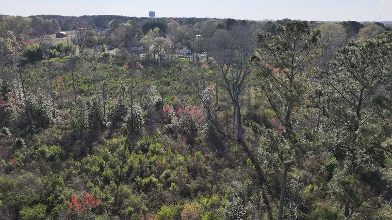 DJI_20240321173806_0071_D