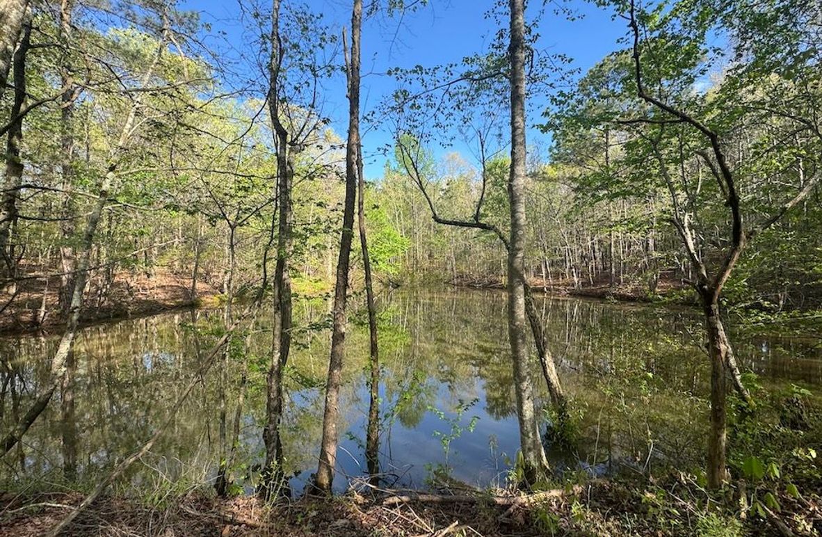 2Hidden Pond from Dam
