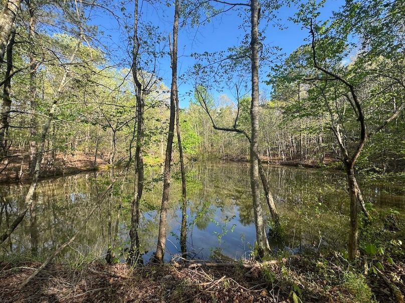 2Hidden Pond from Dam