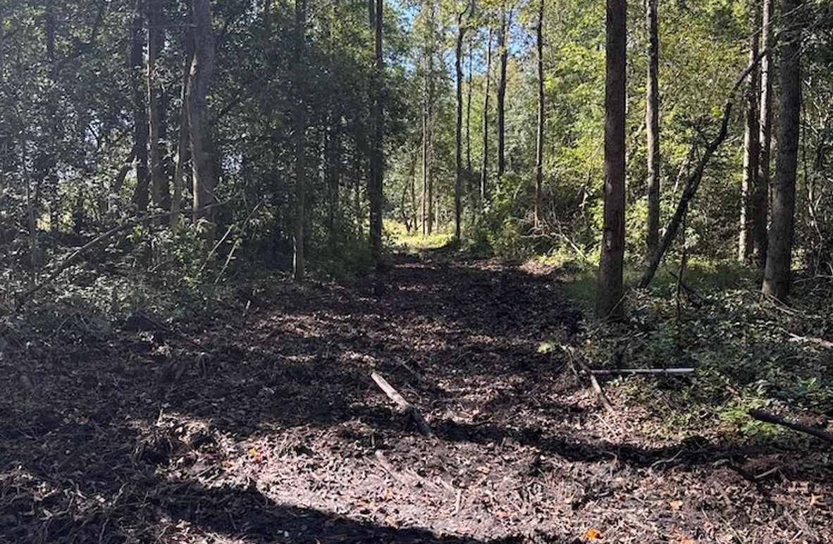 DJI_20251003_104534_226