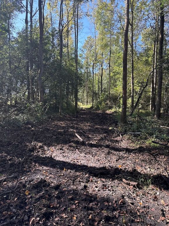 DJI_20251003_104534_226