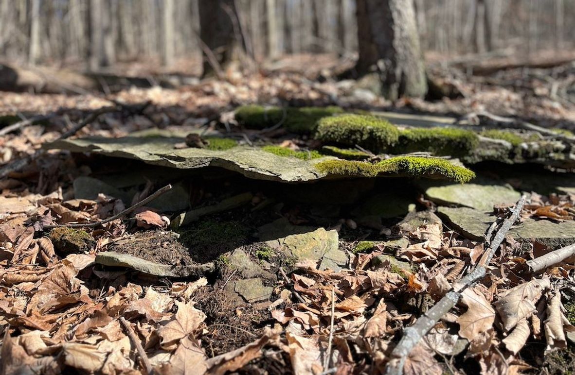 Ontario_9.6_Powell Photo 7