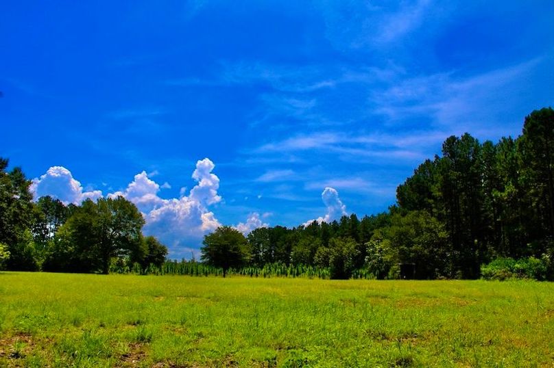 DDB8F52B-A5F4-48A0-B060-4DF801E151D3_1_105_c