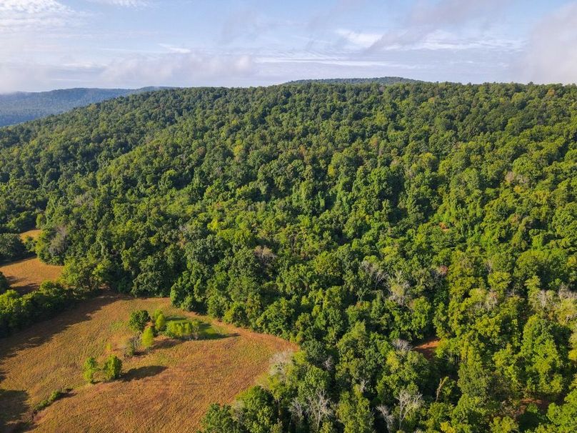 dji_fly_20250826_083448_679_1756215302678_photo