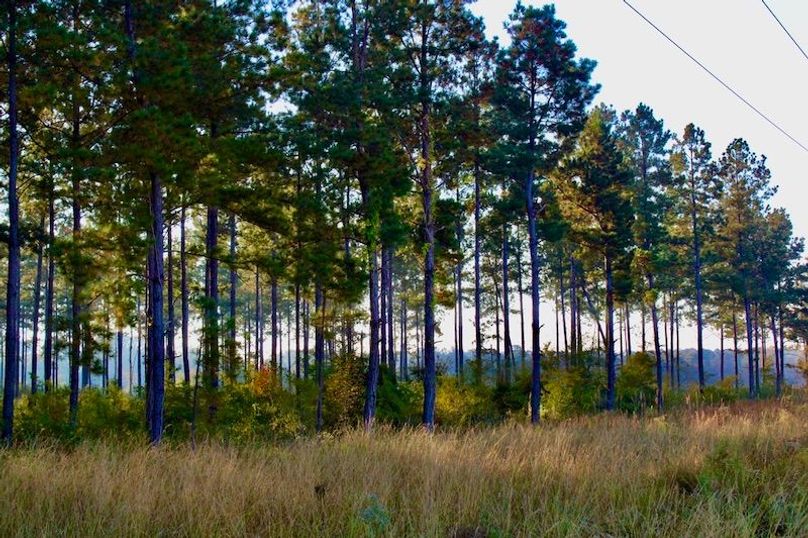 3960F6EA-F1DD-4E72-B208-3CA07AAFA587_1_105_c