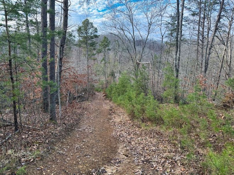 003 nice trail leading up to the flat -2