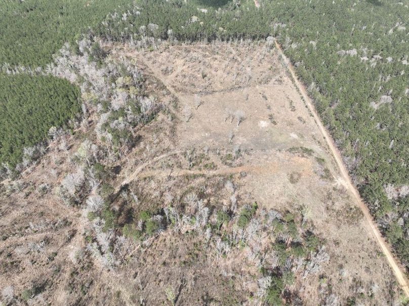 dji_fly_20260303_140216_301_1772637922806_photo