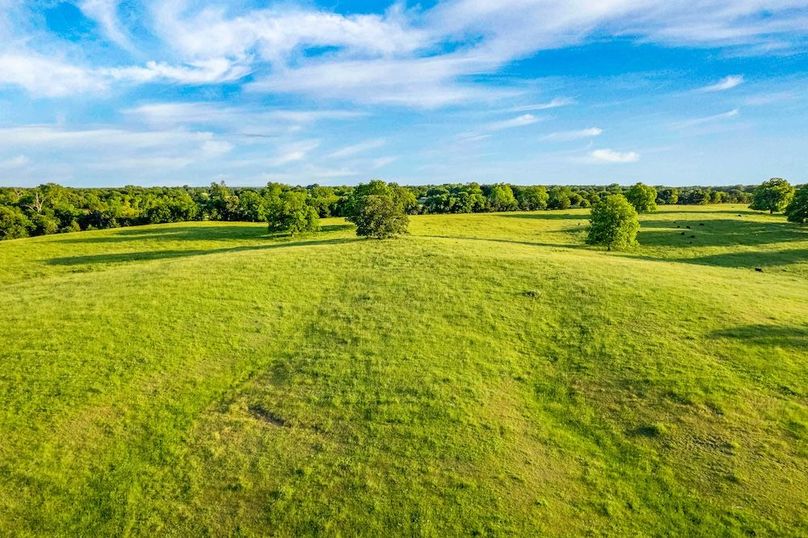 Fannin County- 134.4 acres-32
