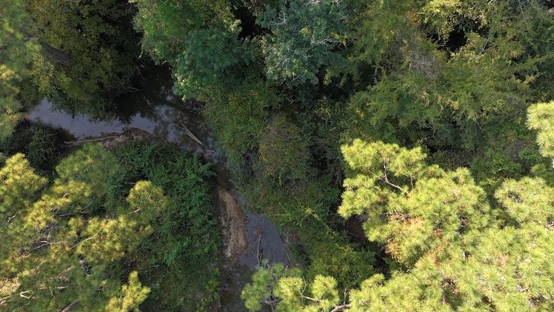 DJI_20250918082451_0151_D