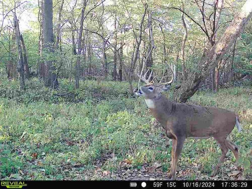 860322062494817-70-3-10162024173628-V-W1001104