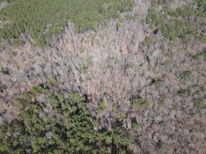 DJI_0345