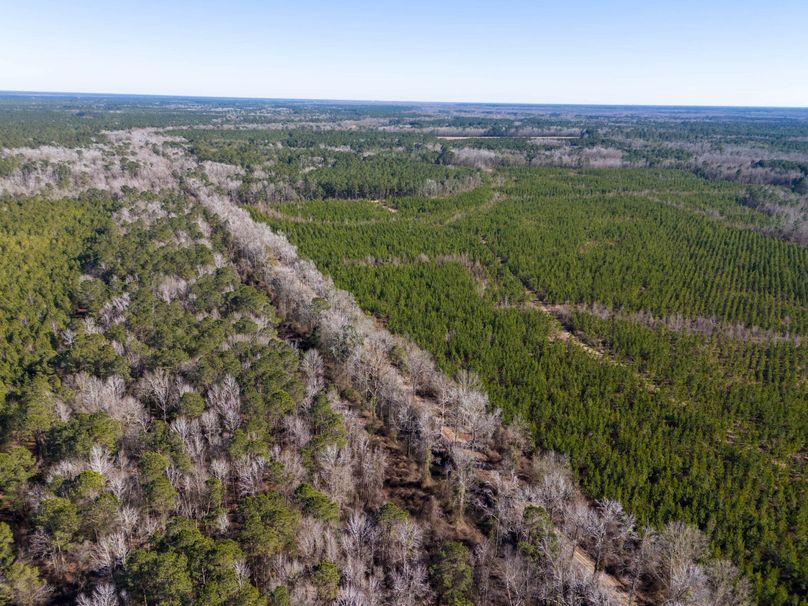 Pender NC 382 - Edits-47