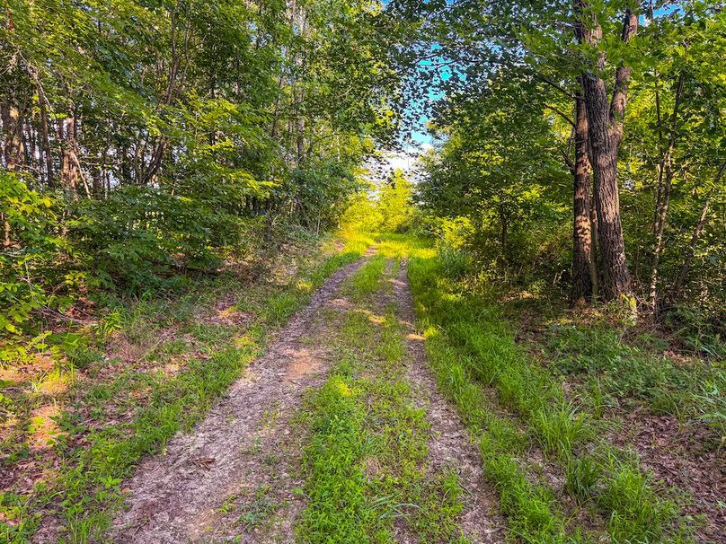 Lewis, WV 82.87 AC Barger-071