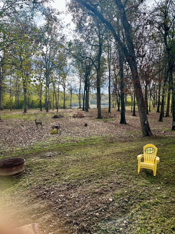 FullSizeRender(2) copy