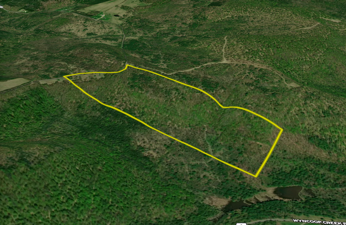 Chemung_59.085_Gutchess_Lumber_Landid_1