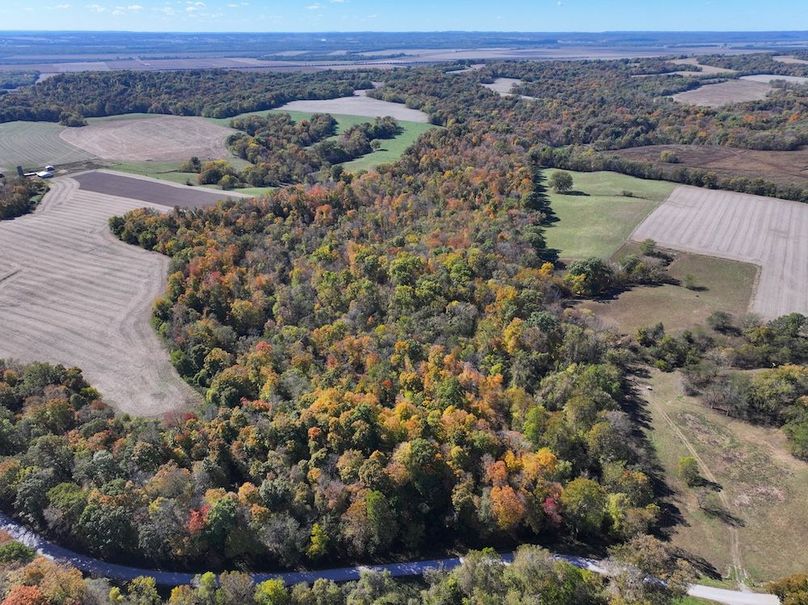 Copy of DJI_20251031130422_0772_D