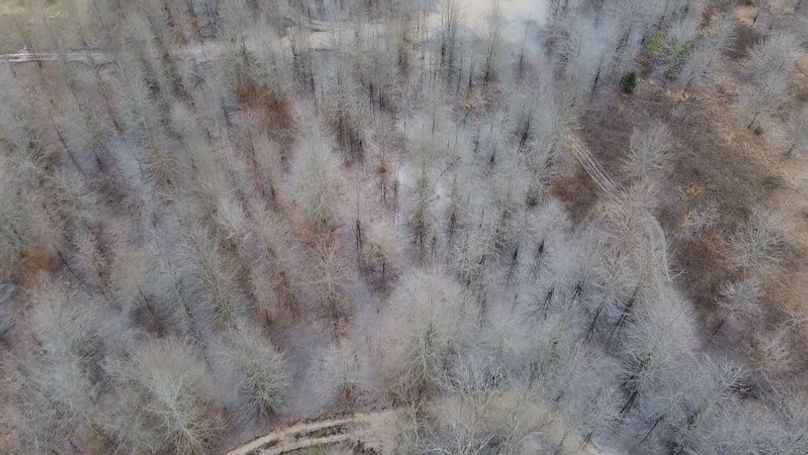 2024-02-29-15-47-46-294