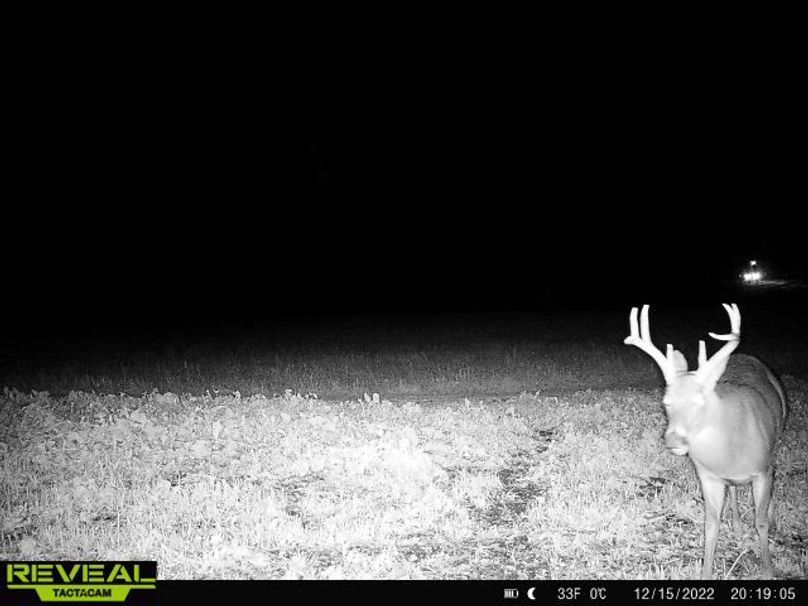 865814048775314-60-4-12152022201904-W1000377