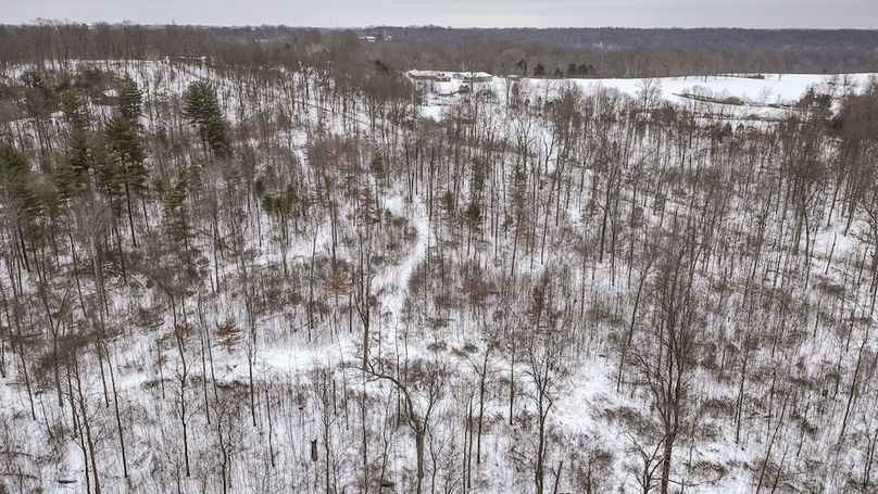 dji_fly_20260202_120624_0009_1770052176969_photo