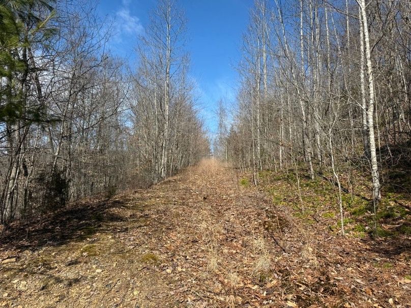 021 another of the open trails_roads leading into the upper elevations