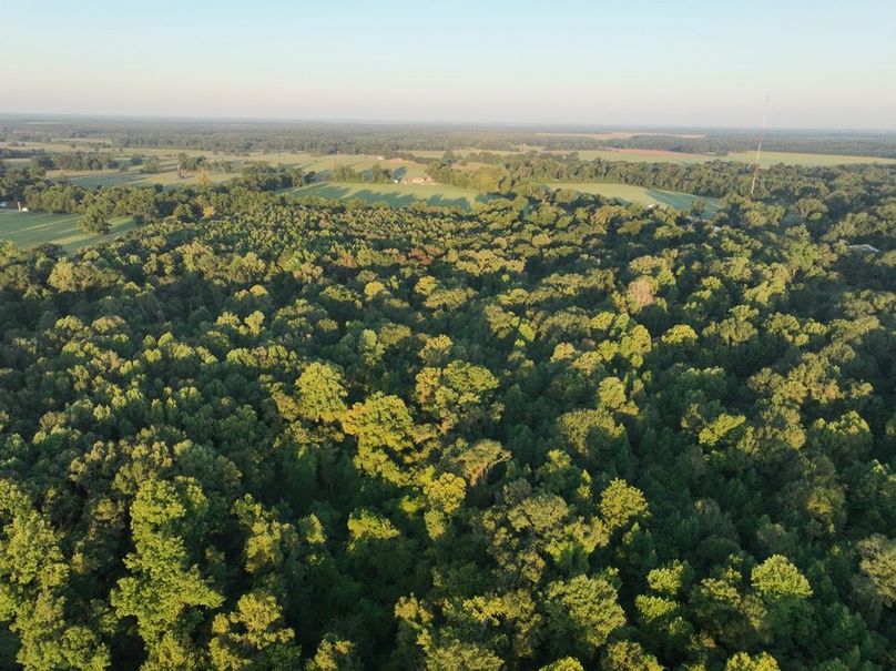 dji_fly_20250909_072528_187_1757426933997_photo