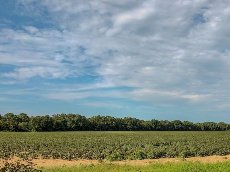 Lafayette 283.5 Jackson Initial Listing Photos -20