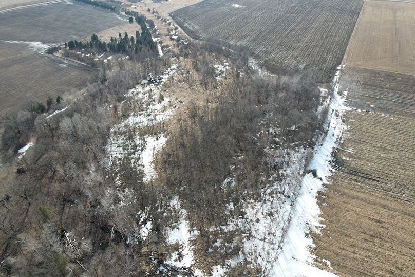 dji_fly_20260319_161438_130_1773955089006_photo