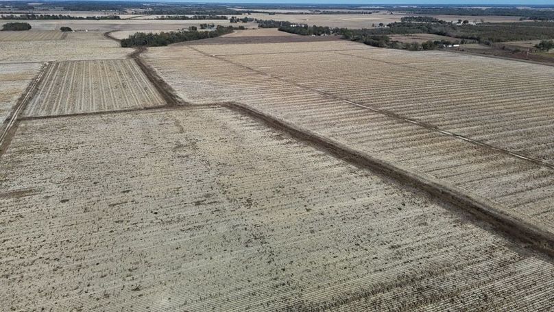 DJI_20251116020738_0902_D