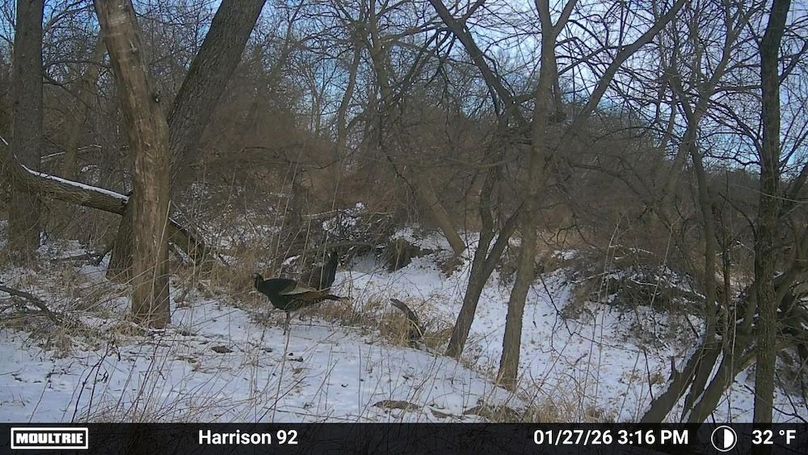 1671622-20260127235604-100MFCAM_MFDC0456