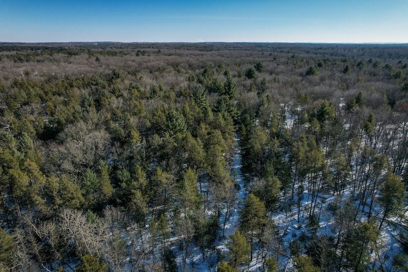 Adams 25, Nessler -11